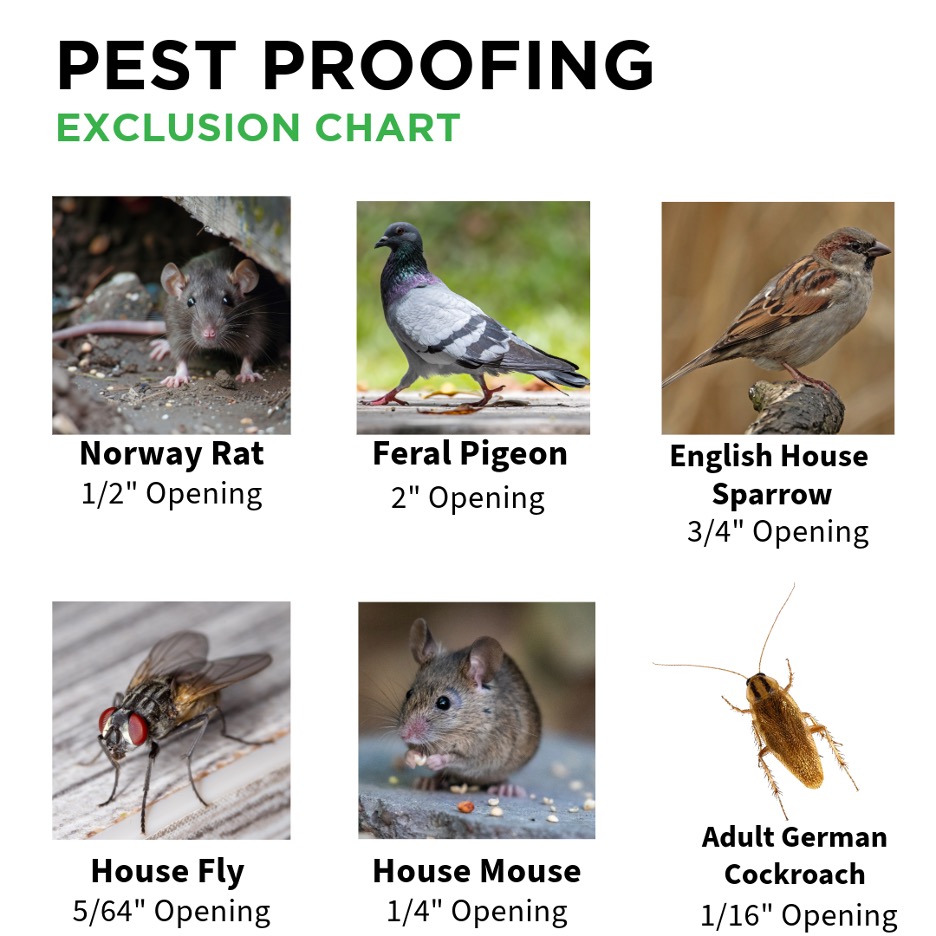 Pest Proofing Chart