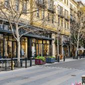 Why Pest Control is Essential for Plaza Businesses