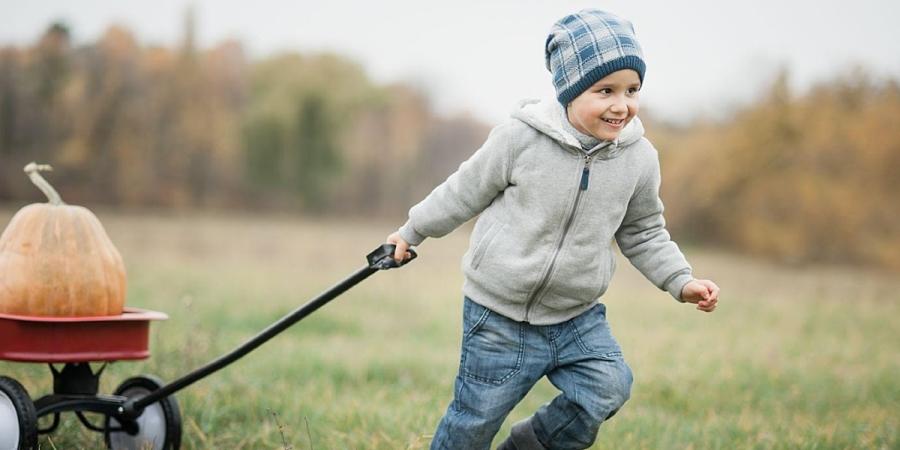 Boy pulls a red wagon with pumpkins across a field